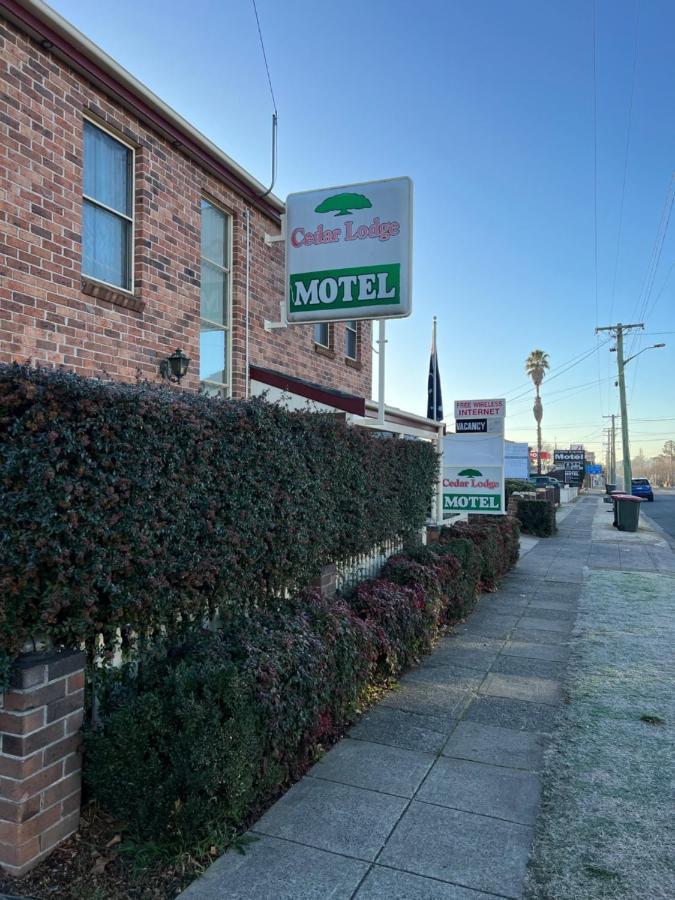 Cedar Lodge Motel Armidale Exterior photo